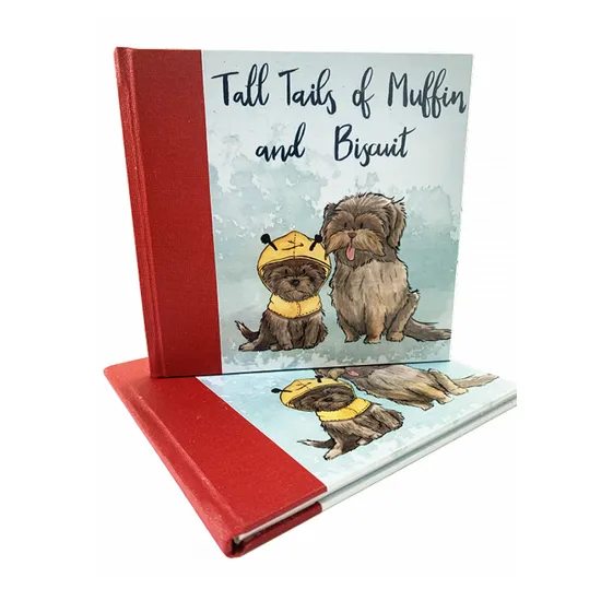 Printing Factory Competitive Price Eco-Friendly Paper Hardcover Children Story Books