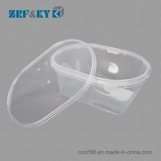 Hot Food Disposable Plastic Bento Lunch Boxt Akeaway Customize Packing Box PP Material Microwave Rectangular Food Container with Lid Storage Box