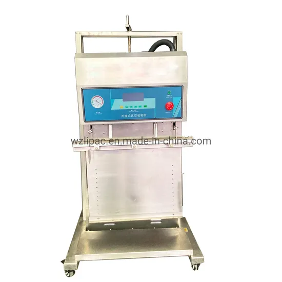 Vertical External Vacuum Sealer for Sale, High Efficiency Stand Type 600 Vertical External Vacuum Sealing Machine