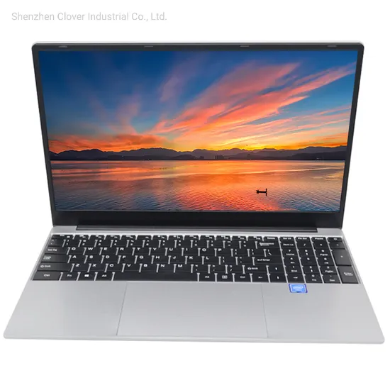 Bulk Metallic Windows10 Popular SSD Laptop Notebook