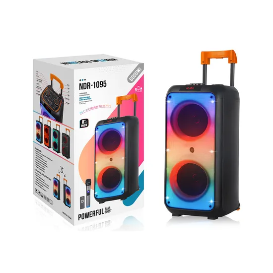 Ndr-1095 Trolley Bluetooth Speaker with Wireless Microphone, Dual 8-Inch RGB Lights Loudspeaker
