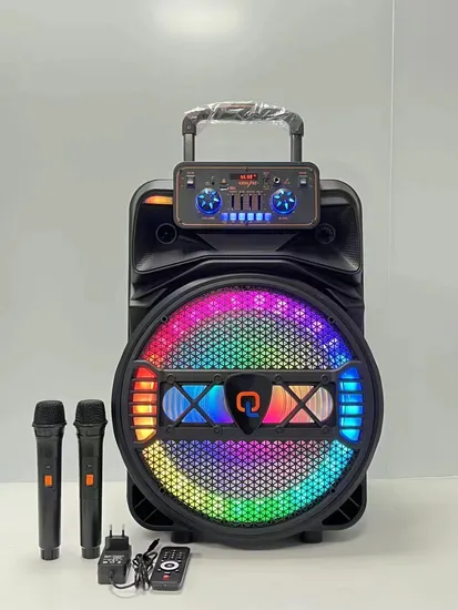 Wireless Portable Private Mould Speaker with LED Lights