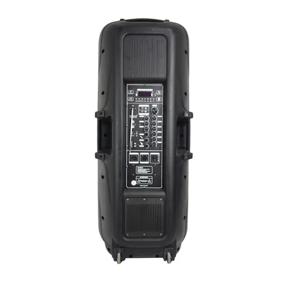 Double 15 Inch High Power Outdoor Speakers with 2 UHF Microphones Bt Plastic Audio Speaker