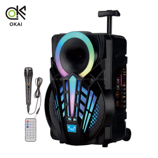 New Design Outdoor 8inch Portable Sound Equipment Wireless Bluetooth Trolley Speaker