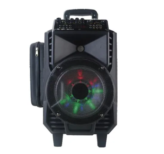 Speaker Box (CH70187)