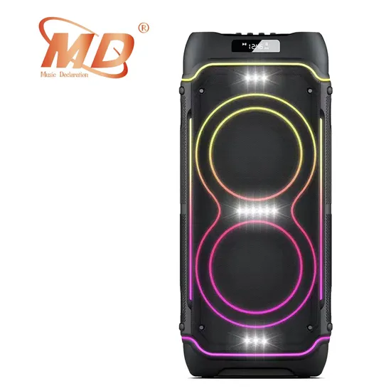 8 Inch Outdoor Home Party DJ Karaoke Speaker with Wireless Mic