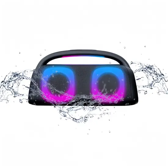 Outdoor Waterproof Double 4.5 Inches Music Karaoke Portable Bluetooth Party Speaker for Adults Kids Singing
