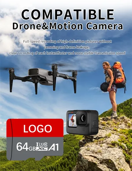 Wholesale Factory Price Class10 High Speed 16GB 32g 64G 128GB 256GB 512GB TF Card Mini SD Card Memory Card
