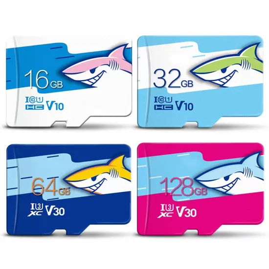 Factory Directly Sale Good Price Color Silk Print Memory TF Flash Card for Phones