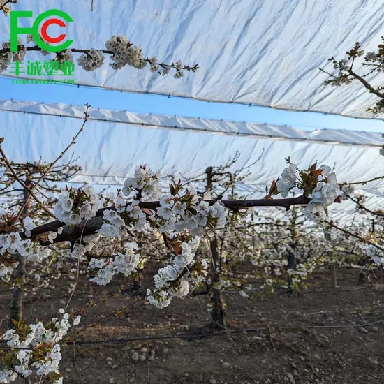 Waterproof Anti Wind Fruit Trees Orchard Cherry Rain Cover