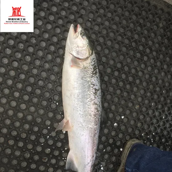 Commercial Anti-Fatigue Non-Slip Hollow Drainage Playground/Pool/Kitchen Safety Entrance Flooring, Porous Rubber Floor Mat