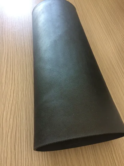 W251 Rear Rubber Bladder Air Suspension for Mercedes Benz