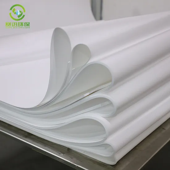 Expanded PTFE Sheet China Supplier Best Price