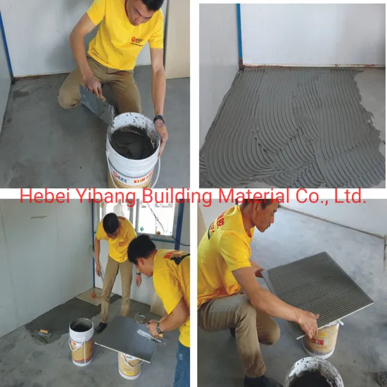 Dry Mixed Mortar Additive HPMC/Mhec/HEC/CMC Building Chemicals