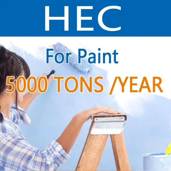 Hydroxyethyl Cellulose (HEC) for Paint