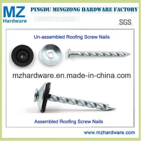 E. G. Umbrella Head Twisted Shank Roofing Nail