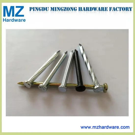 45# 9g 10g 12g 3/4" 1" 1.5" 2" 2.5" 3" High Quality Carbon Steel /Concrete Steel /Iron /Polished Wire /Common Round/Metal Nail for Building Construction