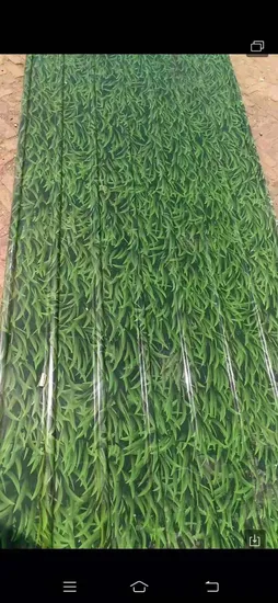 Galvanized /Colored Roofing Sheets Cheap Price