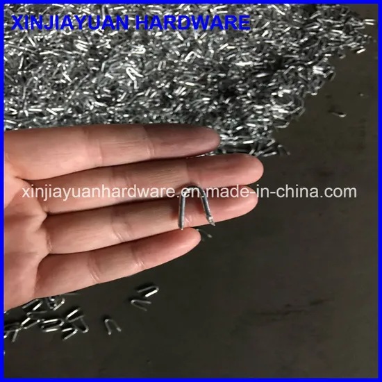 Supply U Shape Galvanzied Wire Fence Staples for Wood Post