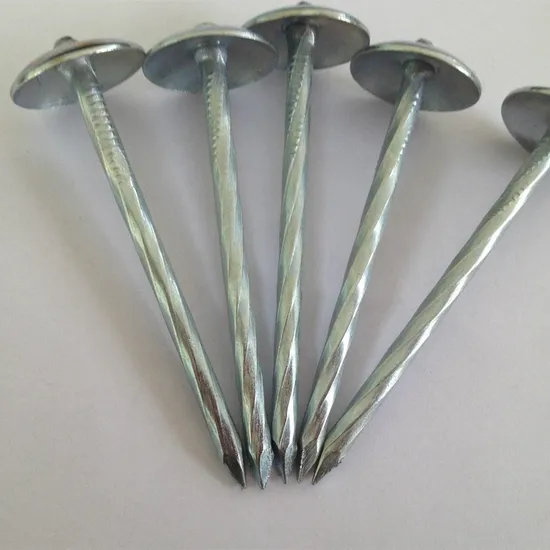 Roofing Nails with Umbrella Head/Steel Twisted Shank Roofing Nail
