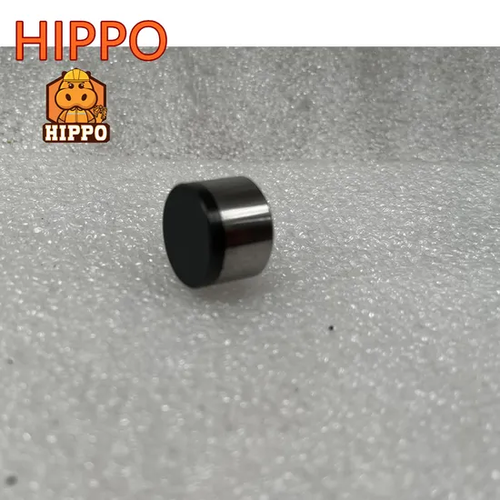 1004 1005 1204 1304 PDC Inserts Cutter for Geology Exploring Drill Bit