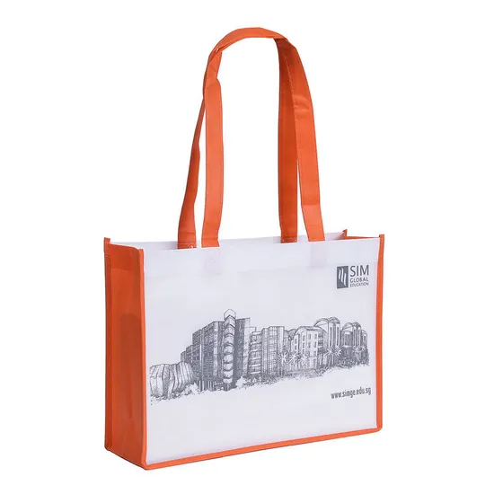 Custom Reusable Non-Woven Bag Cloth Covered with Lamination Shopping Carry Gift Tote Bag