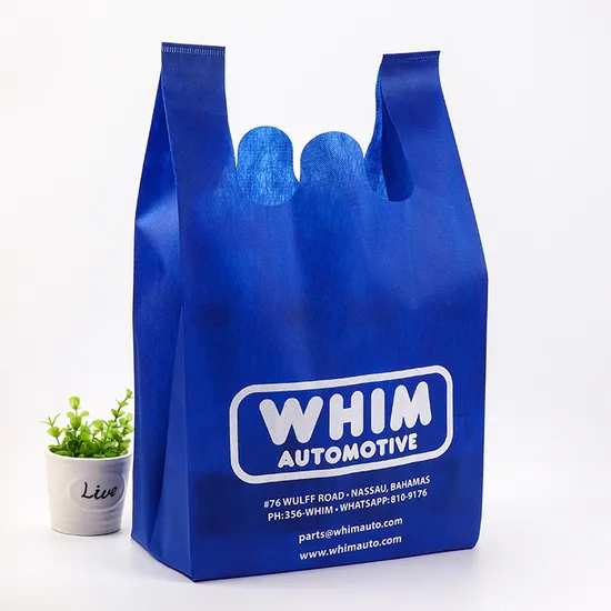 Customize Reusable Non-Woven Shopping Bag with Square Bottom