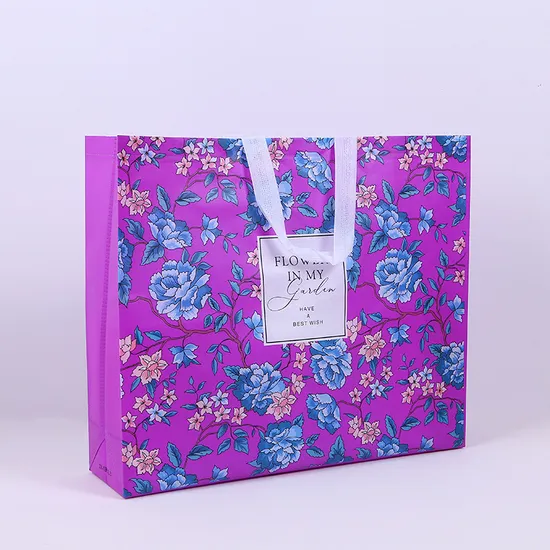 Manufacturer Reusable Shopping Bag Shopping Non Woven Bag
