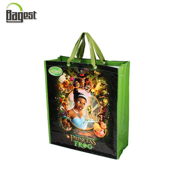 Heavy Duty Foldable Grocery Used Laminated PP Woven Bag