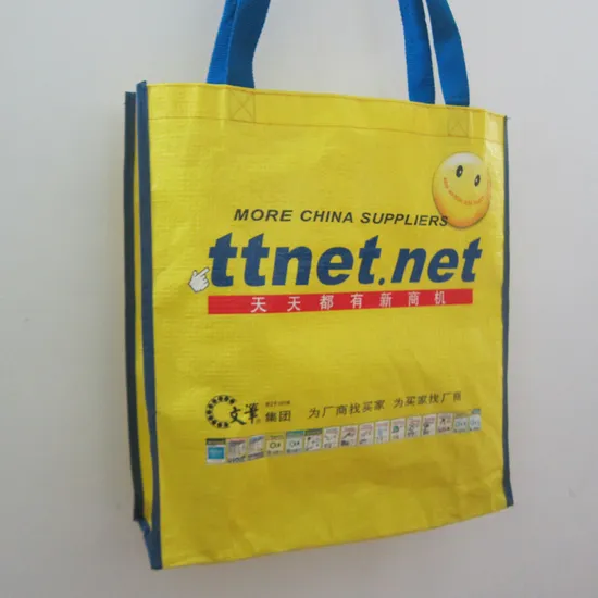 Paper/PP Woven Reusable Bag for Shopping/Gifts