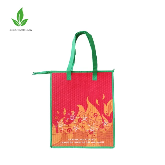 Reusable Insulated Thermal Food Deliver Portable Lunch Picnic Cooler Bags