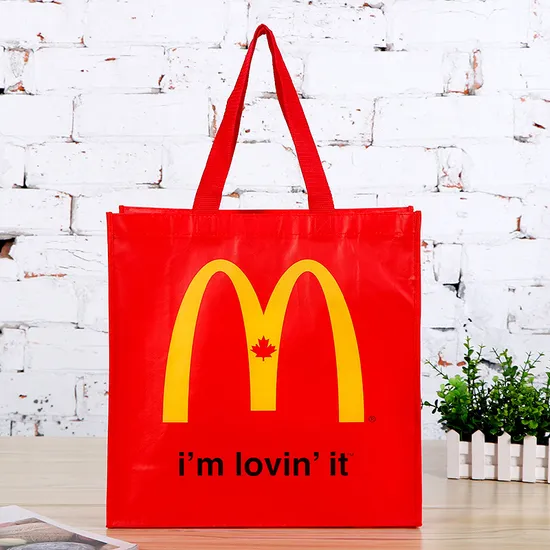 Custom Design Recycle Nonwoven Hand Shopping Bag for Promotion