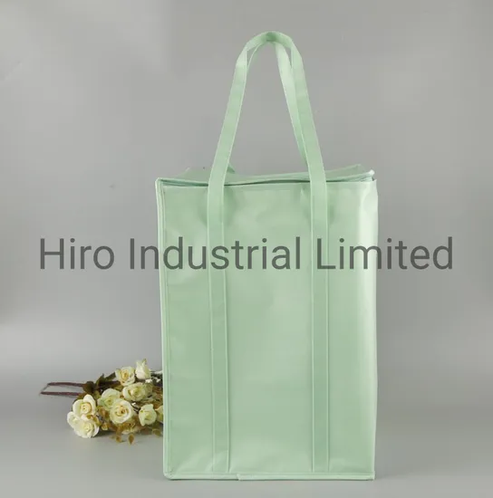 China Manufacturer Custom Made Promotional Packing Non Woven Insulated Lunch Thermal Cooler Bag