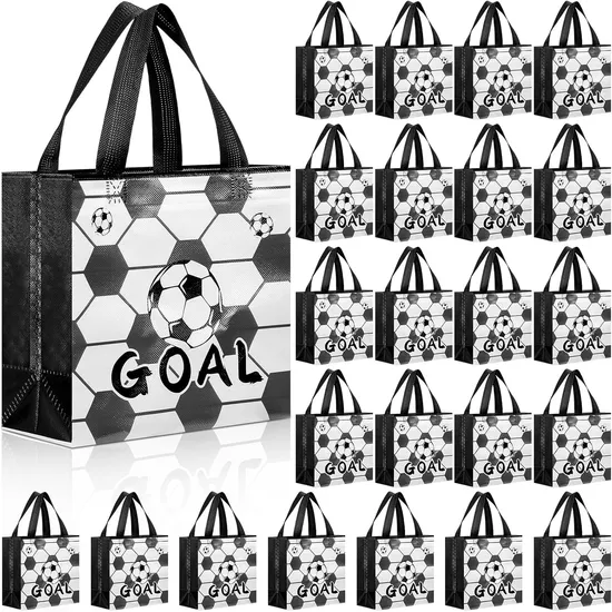 Non-Woven Reusable Gift Bags with Handles for Party Favor