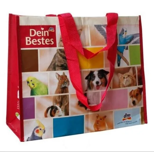 Shopping Bag Clothing Non-Woven Composite Bag