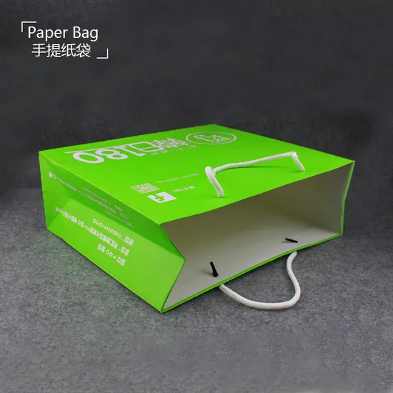 High Quality Manufacturer Certificated Recyclable Blue Paper Shopping Bag with Twisted Handle