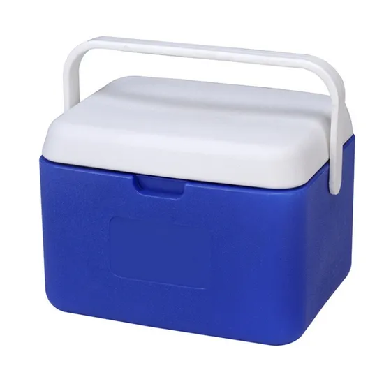 Cooler Box Hot and Cold Insulated Freezer, Drink Cooler Box for Picnic Camping Portable