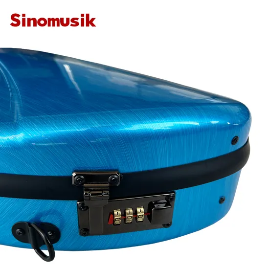 Quality Different Colors Hot Sale Sinomusik Carbon Fiber Hard Triangle Password Violin Case Instrument Case