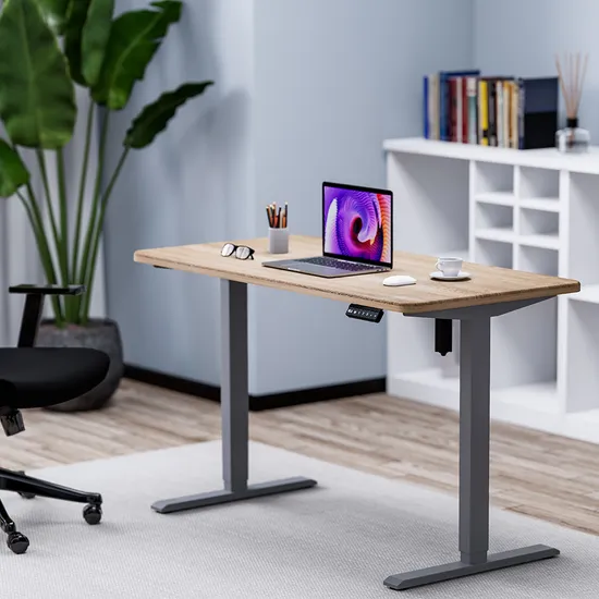 Custom Motorized Steel Computer Table Standing Frame Lifting Height Adjustable Electric Rising Desk for Office