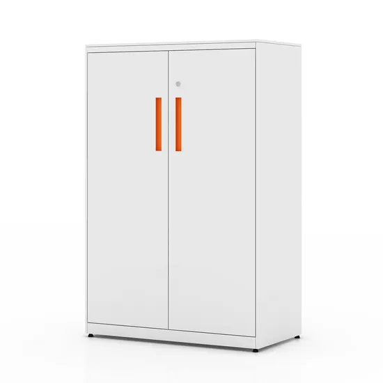 New Design Double 2 Swing Door Cupboard Metal Furniture Trading Storage Office Filing Steel Cabinet