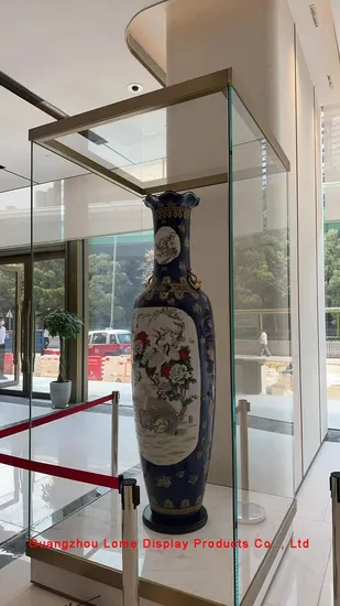 Museum Glass Display Cases Glasses Jewelry Display Cabinet Showcase with Adjustable Light