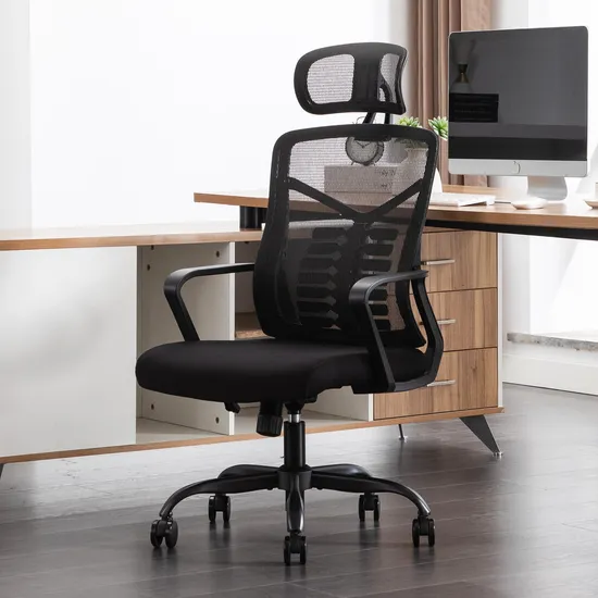 Free Shipping Executive Gaming Best Ergonomic Office Chairs with Lumbar Support Headrest