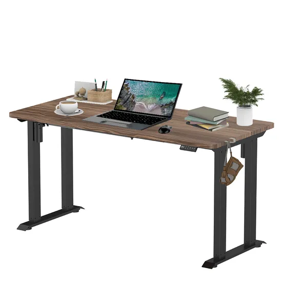 Ergonomic Modern Electric Gaming Desk 4 Legs Height Adjustable Sit Stand Station Office Furniture Standing Desk