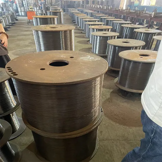 3.15mm E. G Electro Galvanized Steel Wire for Mesh