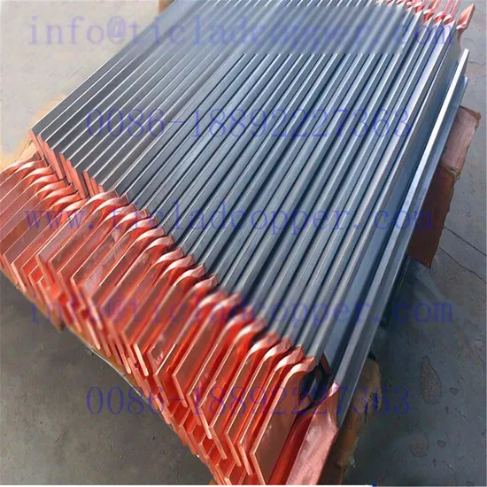 Ti Clad Copper Conductive Bus Bar Anode for Metallurgy Industry/ Titanium Clad Copper/ Titanium Bus Bar