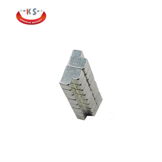 Wholesale Irregular NdFeB Magnet Shaped Magnet Silver Permanent High Performance Customizable Magnet