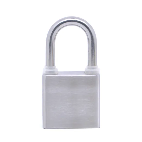 Security Bluetooth Function Keyless Smart Door Lock Letter Box Stainless Steel Padlock
