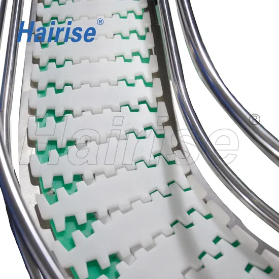 Hairise Unique Factory Price Custom Flexible Chains Conveyor