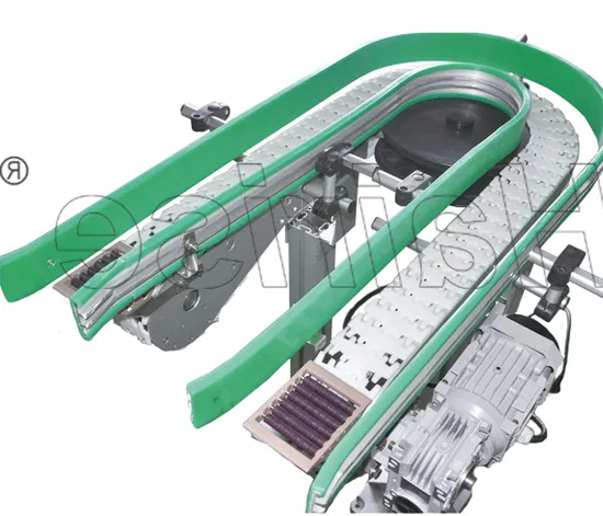 Hairise Durable Using Low Price Flexible Chains Conveyor