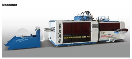 Auto Yogurt Cups /PP Cups/ Ice Cream Cups/ Pet Cups Thermoforming Machine with High Yield